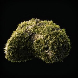 Moss Low Poly 14