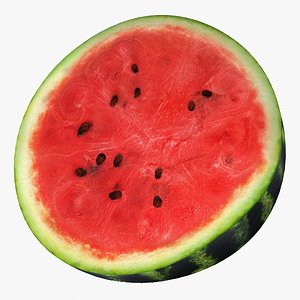 3dsmax watermelon cross section 2