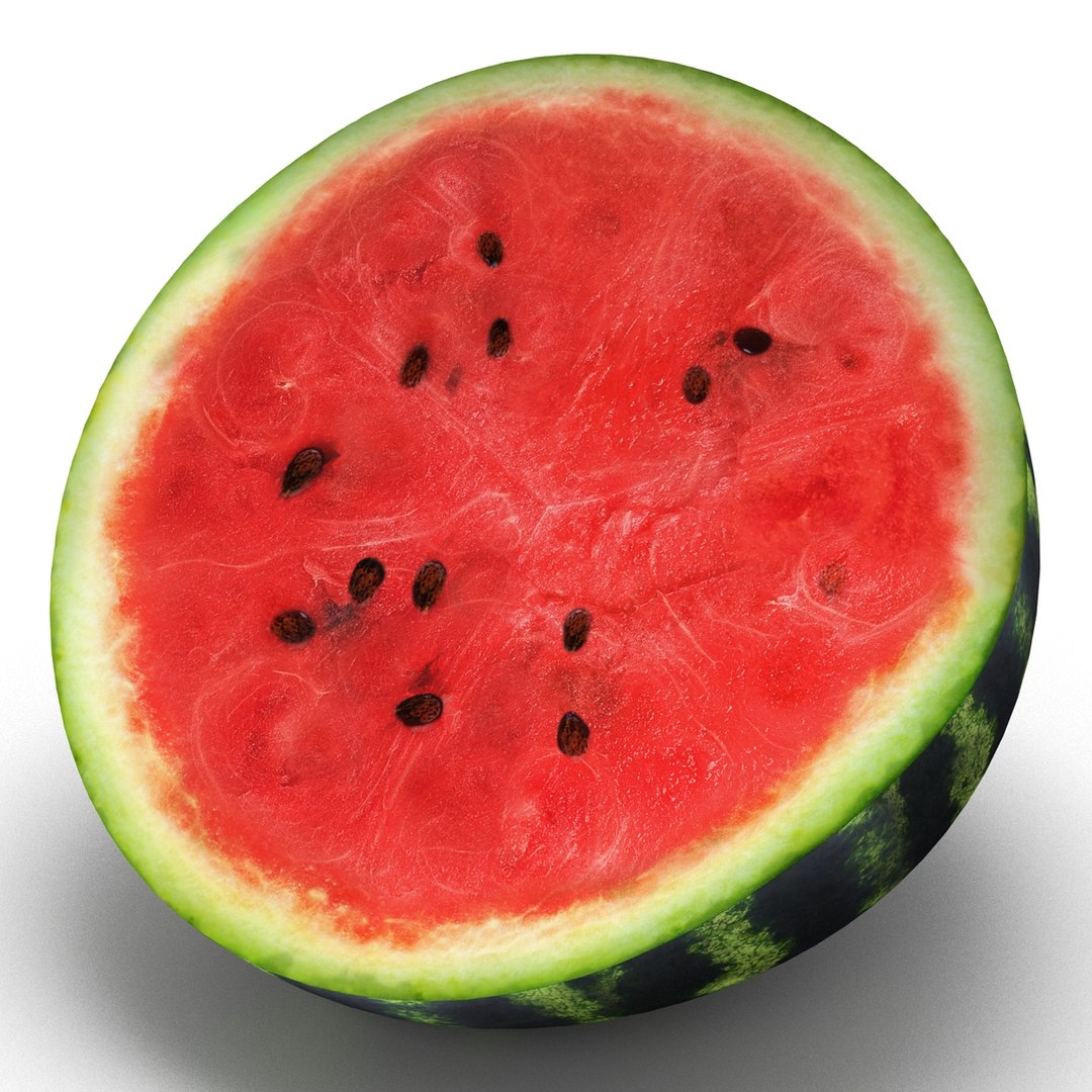 Watermelon Cross Section 2 3D model preview