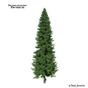 Fir-tree_01