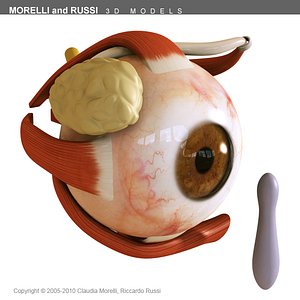 EYE