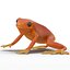 Mantella Frog Rigged 3D Model