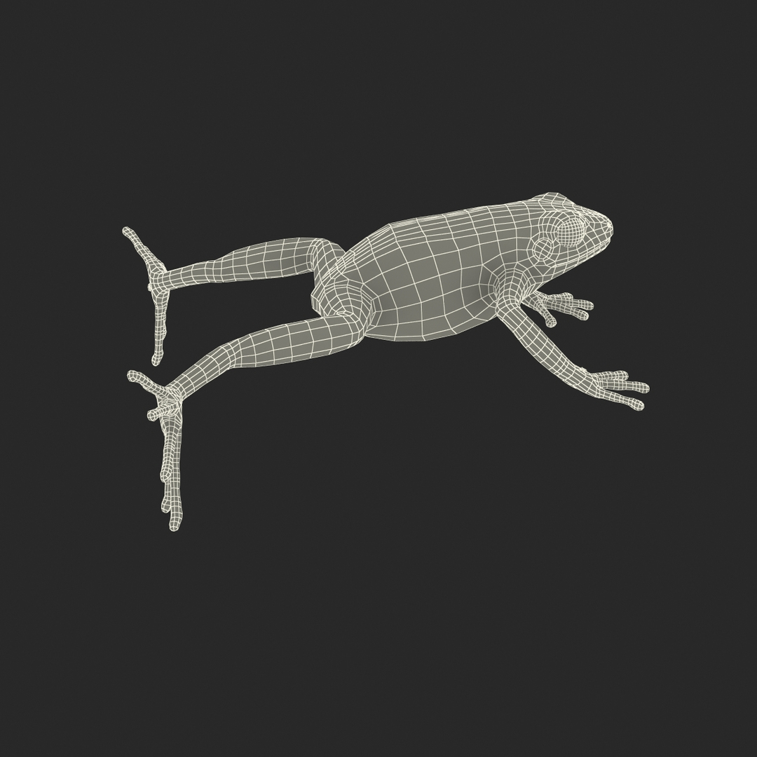 mantella frog rigged animate 3d max https://p.turbosquid.com/ts-thumb/4o/hZSRLH/2tMdQTrv/mantella_frog_pose_rigged_361/jpg/1452842490/1920x1080/turn_fit_q99/6b983abe203454b11bc1f15b7e28299de03926da/mantella_frog_pose_rigged_361-1.jpg