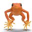 Mantella Frog Rigged 3D Model