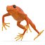 Mantella Frog Rigged 3D Model