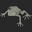 Mantella Frog Rigged 3D Model