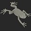 Mantella Frog Rigged 3D Model