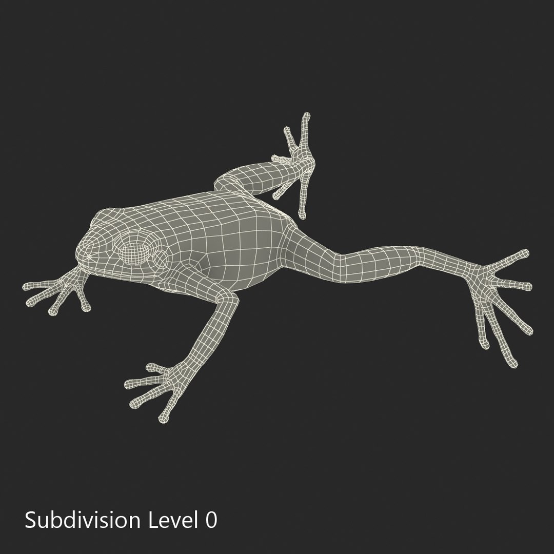 mantella frog rigged animate 3d max https://p.turbosquid.com/ts-thumb/4o/hZSRLH/Mb8s7TVr/mantellafrogrigged3dmodel28/jpg/1452842178/1920x1080/fit_q87/a8bd015608d4fb2e3293b28d02b80c9288b98876/mantellafrogrigged3dmodel28.jpg