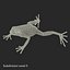 Mantella Frog Rigged 3D Model