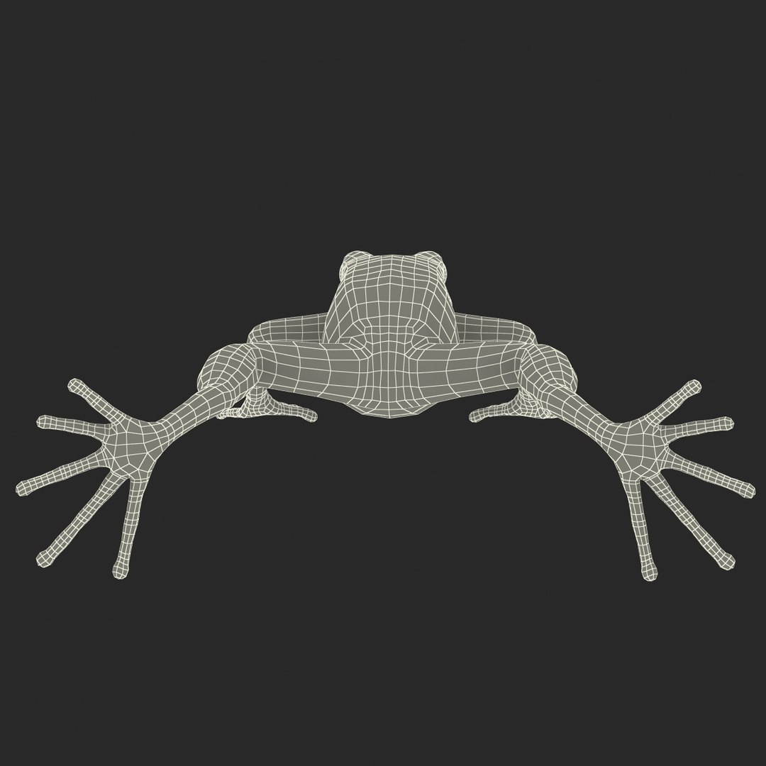 mantella frog rigged animate 3d max https://p.turbosquid.com/ts-thumb/4o/hZSRLH/Mi1QHqBm/mantellafrogrigged3dmodel38/jpg/1452842179/1920x1080/fit_q87/c982e62914285e9617ec9ff16b2ec19237a68004/mantellafrogrigged3dmodel38.jpg