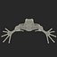 Mantella Frog Rigged 3D Model