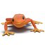 Mantella Frog Rigged 3D Model