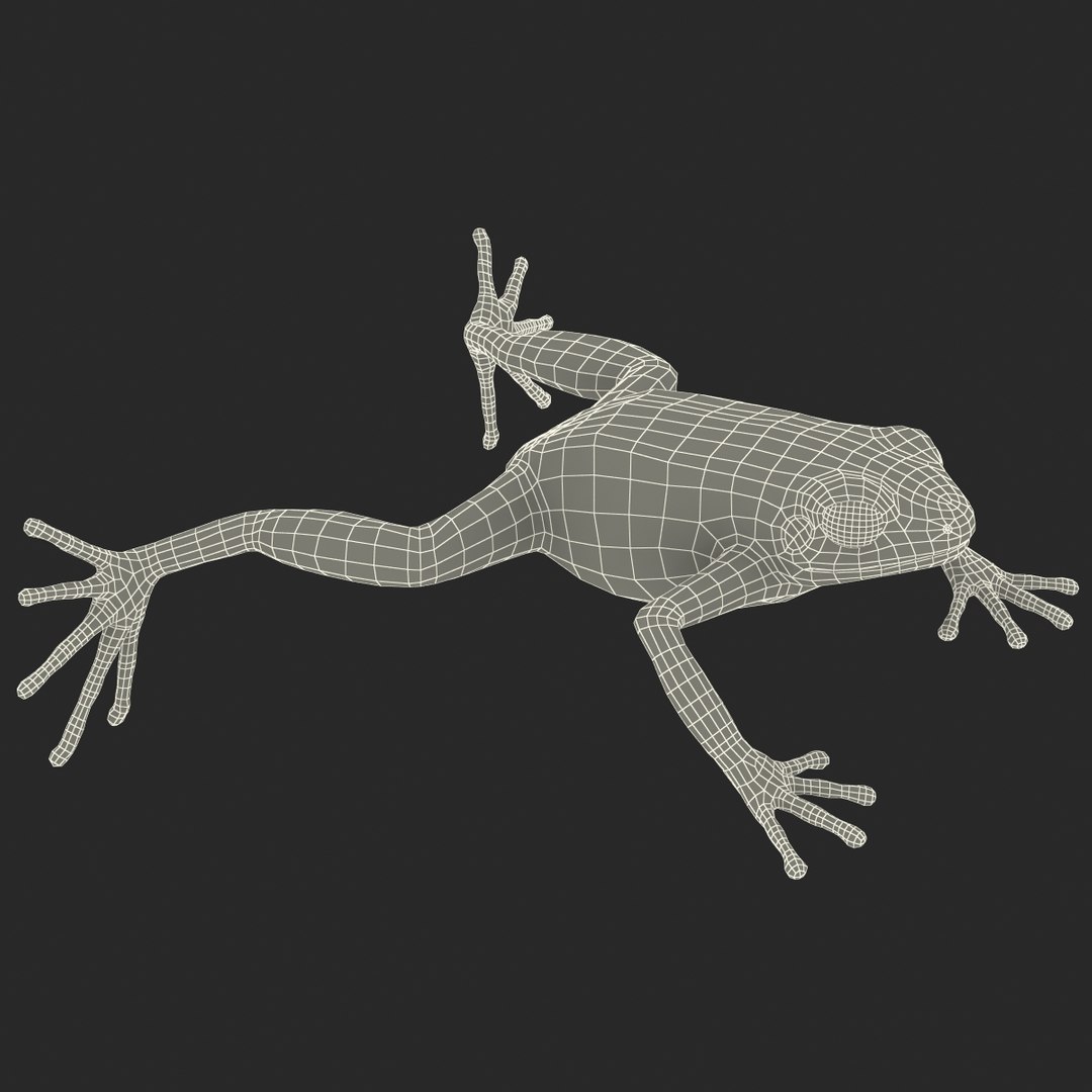 mantella frog rigged animate 3d max https://p.turbosquid.com/ts-thumb/4o/hZSRLH/NNorZHIV/mantellafrogrigged3dmodel39/jpg/1452842179/1920x1080/fit_q87/b9bfcace1c95bfcb7e012be843214f7eb4bb375f/mantellafrogrigged3dmodel39.jpg