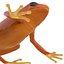 Mantella Frog Rigged 3D Model