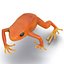 Mantella Frog Rigged 3D Model