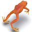 Mantella Frog Rigged 3D Model