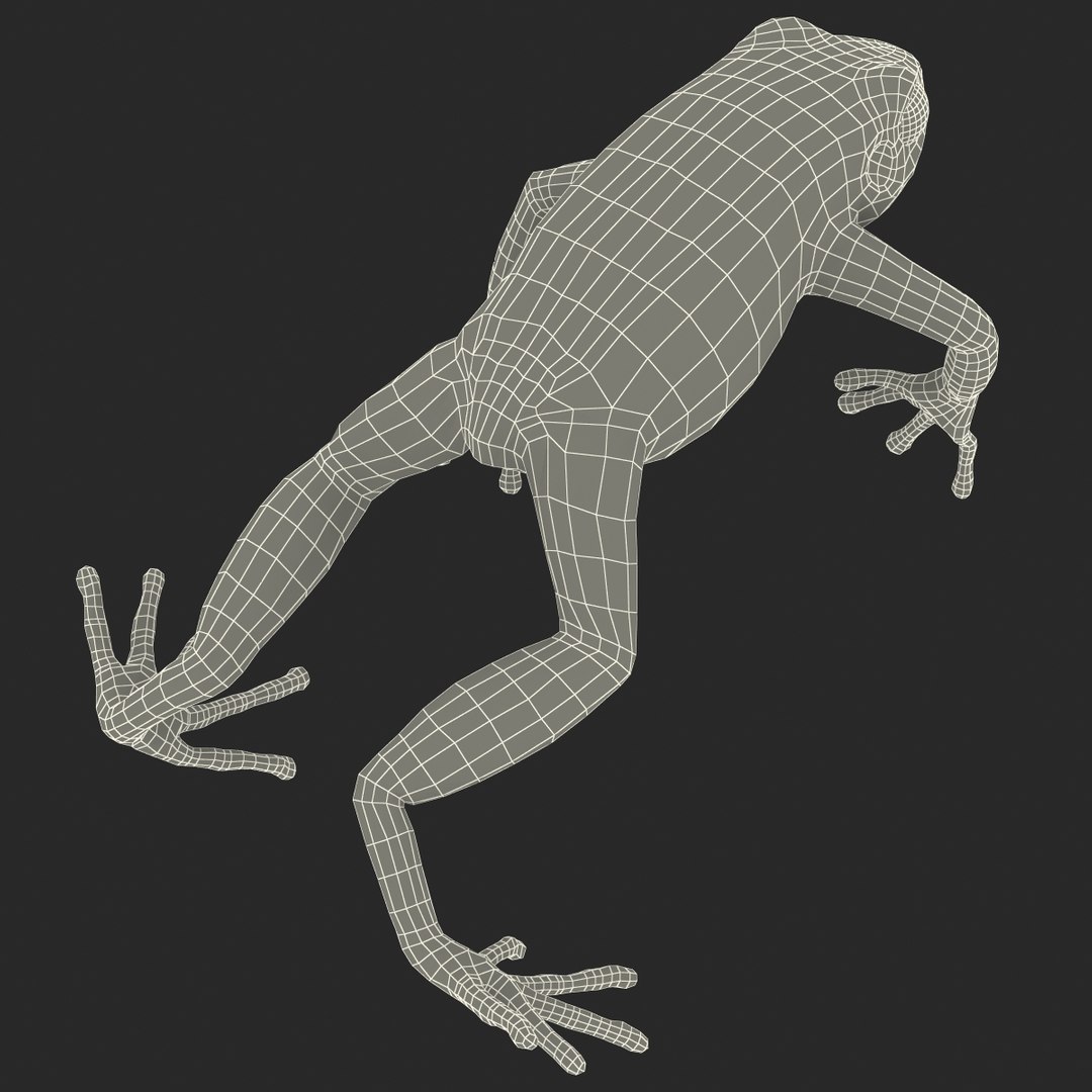 mantella frog rigged animate 3d max https://p.turbosquid.com/ts-thumb/4o/hZSRLH/foBrX78G/mantellafrogrigged3dmodel36/jpg/1452842179/1920x1080/fit_q87/21de4066722c5c2351a889596cc4681ee4fd9934/mantellafrogrigged3dmodel36.jpg