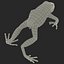 Mantella Frog Rigged 3D Model