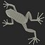 Mantella Frog Rigged 3D Model