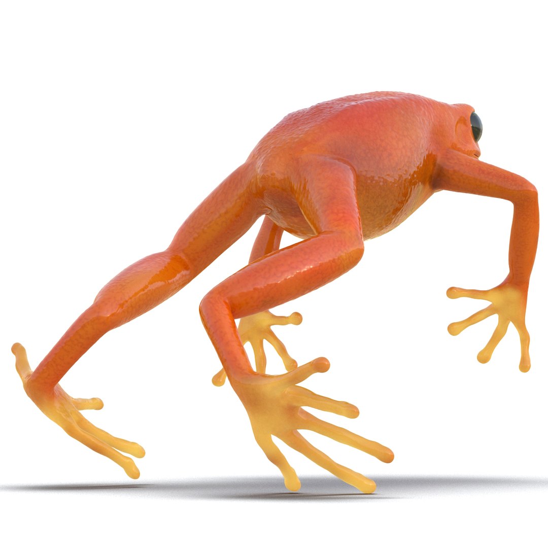 mantella frog rigged animate 3d max https://p.turbosquid.com/ts-thumb/4o/hZSRLH/hA4t10SQ/mantellafrogrigged3dmodel19/jpg/1452842177/1920x1080/fit_q87/2c9bfa68bb5c103008a055939685539b774030ae/mantellafrogrigged3dmodel19.jpg