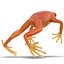 Mantella Frog Rigged 3D Model