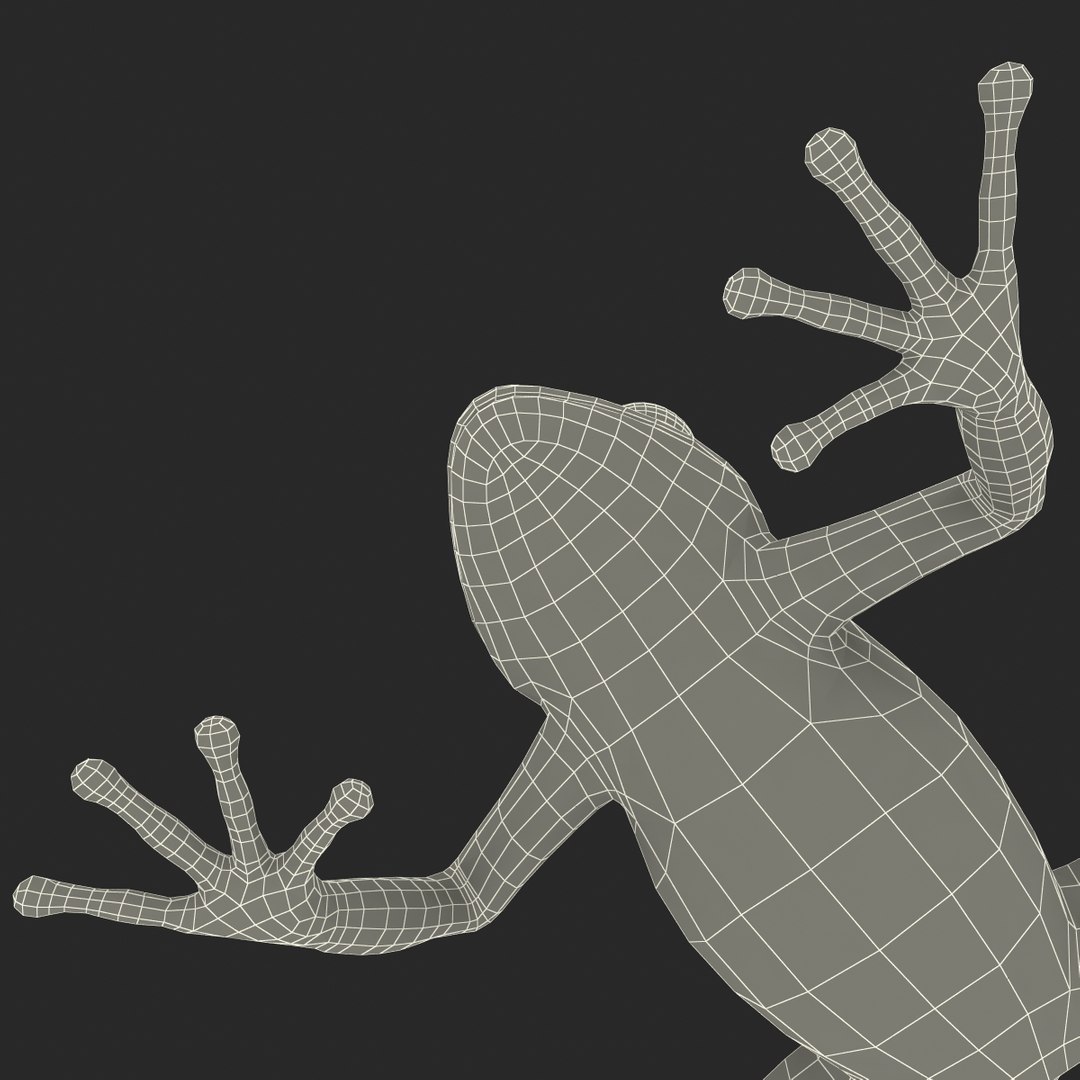 mantella frog rigged animate 3d max https://p.turbosquid.com/ts-thumb/4o/hZSRLH/ndVsfLjM/mantellafrogrigged3dmodel45/jpg/1452842180/1920x1080/fit_q87/eeb4b82cfbc2148550ec8e3d9c6d0141085dcbe4/mantellafrogrigged3dmodel45.jpg