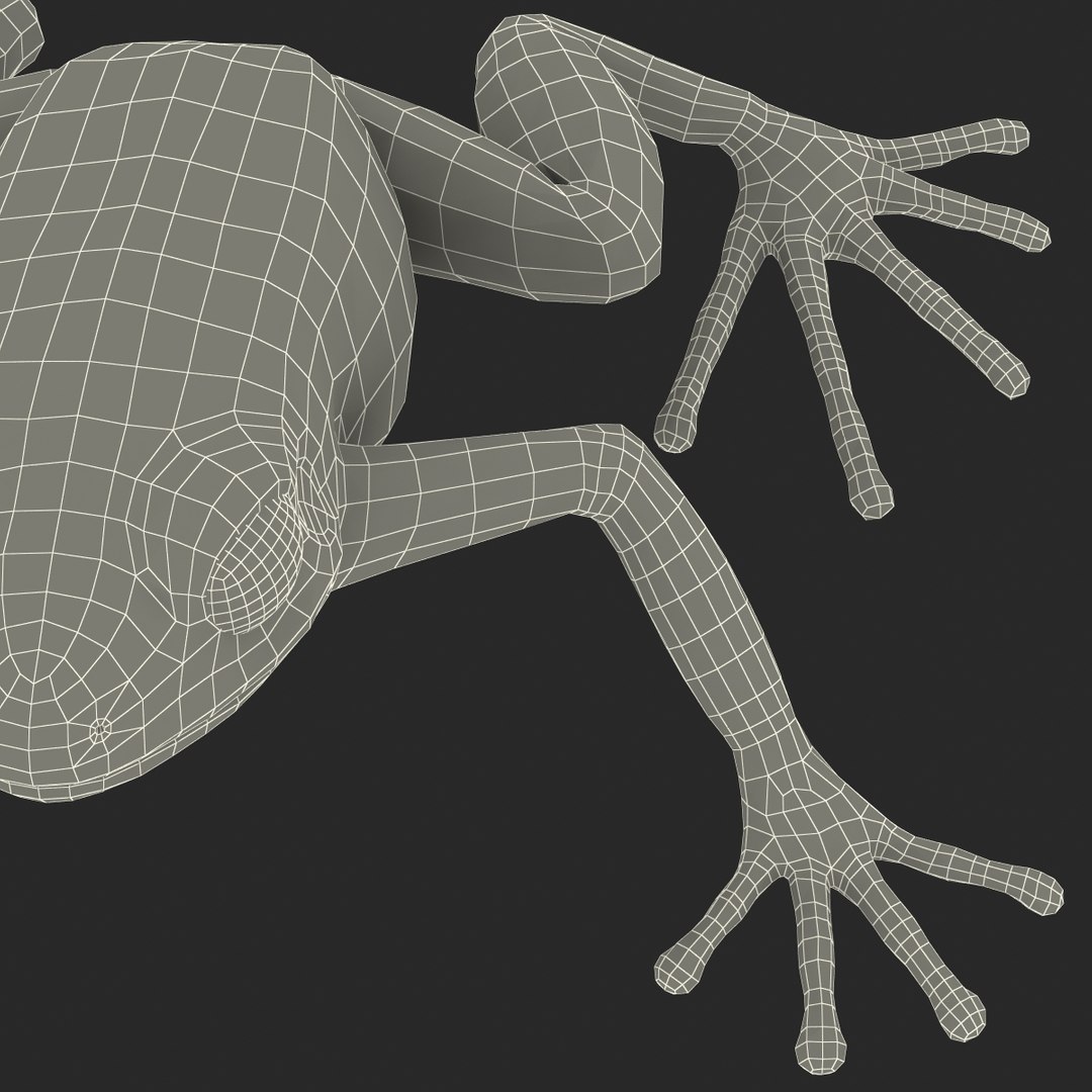 mantella frog rigged animate 3d max https://p.turbosquid.com/ts-thumb/4o/hZSRLH/qyYtNXAO/mantellafrogrigged3dmodel43/jpg/1452842179/1920x1080/fit_q87/00a4f0d8ea172458b86b2818cd3915a884d401c3/mantellafrogrigged3dmodel43.jpg