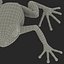 Mantella Frog Rigged 3D Model