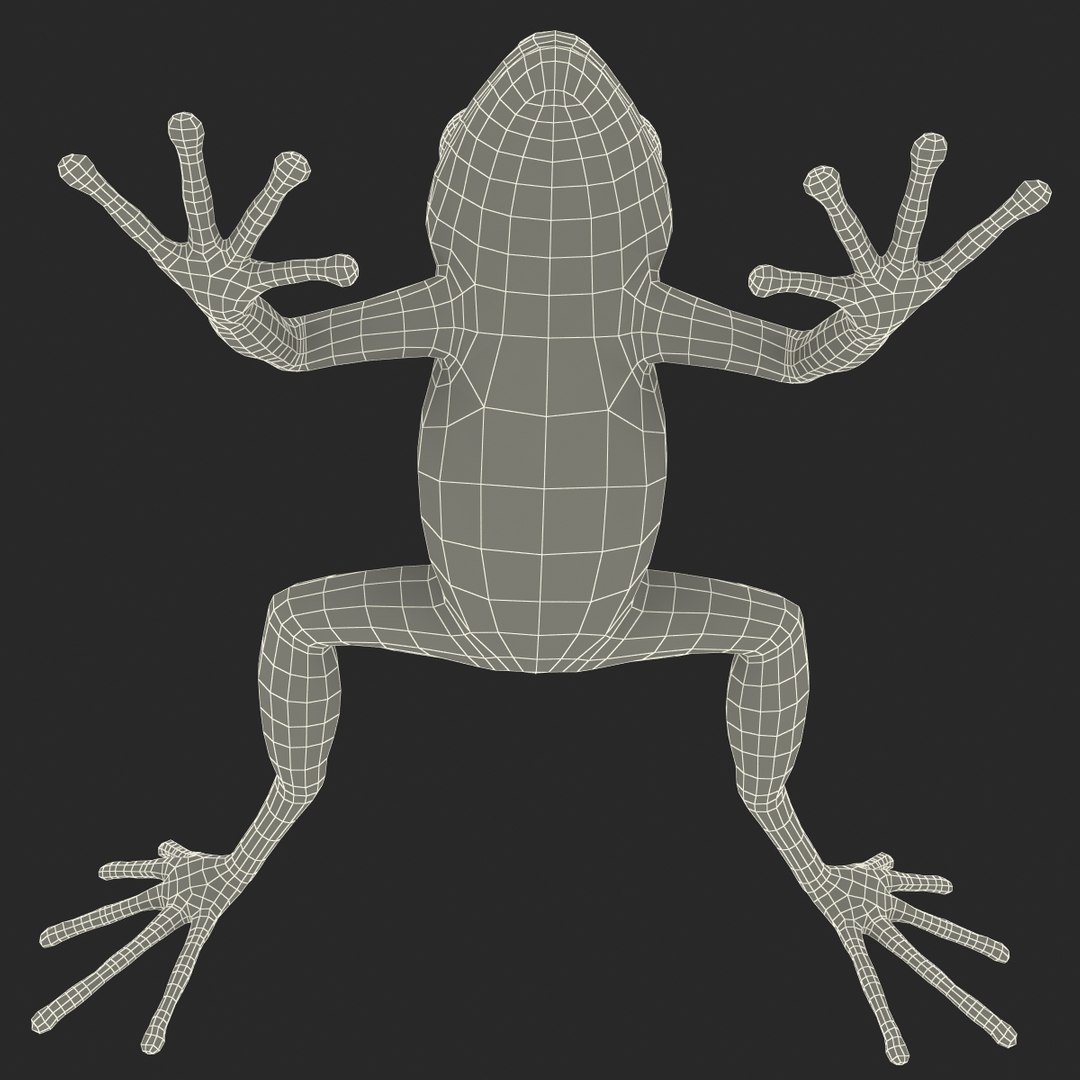 mantella frog rigged animate 3d max https://p.turbosquid.com/ts-thumb/4o/hZSRLH/rj67zmml/mantellafrogrigged3dmodel40/jpg/1452842179/1920x1080/fit_q87/f3addd165dfc2c39053d0ab4a360db74d4a7918a/mantellafrogrigged3dmodel40.jpg