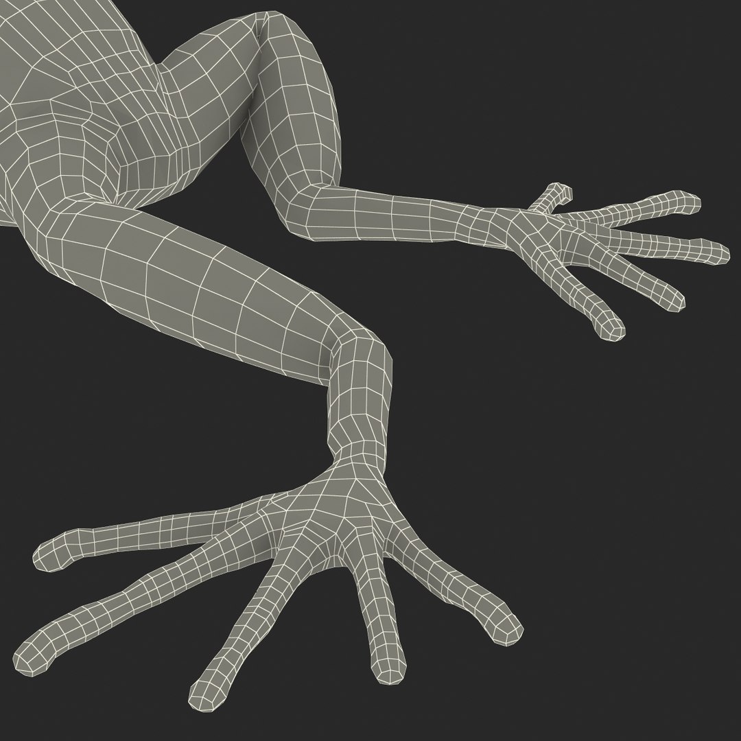 mantella frog rigged animate 3d max https://p.turbosquid.com/ts-thumb/4o/hZSRLH/sH8amZFa/mantellafrogrigged3dmodel44/jpg/1452842179/1920x1080/fit_q87/9a3f0a74a84fadba81c6877c02f5259a2f749d60/mantellafrogrigged3dmodel44.jpg