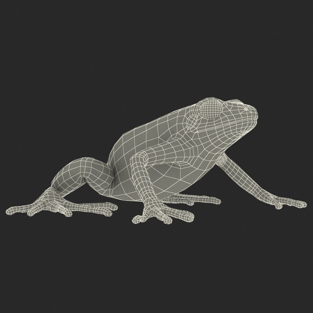 mantella frog rigged animate 3d max https://p.turbosquid.com/ts-thumb/4o/hZSRLH/vB5mGCbK/mantellafrogrigged3dmodel35/jpg/1452842179/1920x1080/fit_q87/1c2cd233fc7cc22c9dc2edd3b75a2bc460c2973f/mantellafrogrigged3dmodel35.jpg