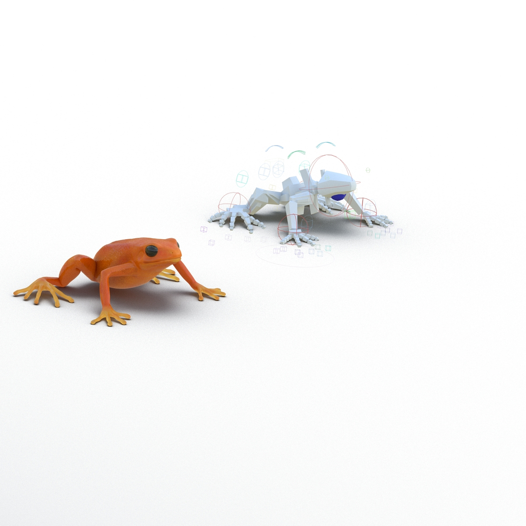 mantella frog rigged animate 3d max https://p.turbosquid.com/ts-thumb/4o/hZSRLH/wTYy26KJ/mantella_frog_pose_rigged_363/jpg/1452842831/1920x1080/turn_fit_q99/42ac9c3aa35906633658f578b3ea73af3d8a2887/mantella_frog_pose_rigged_363-1.jpg