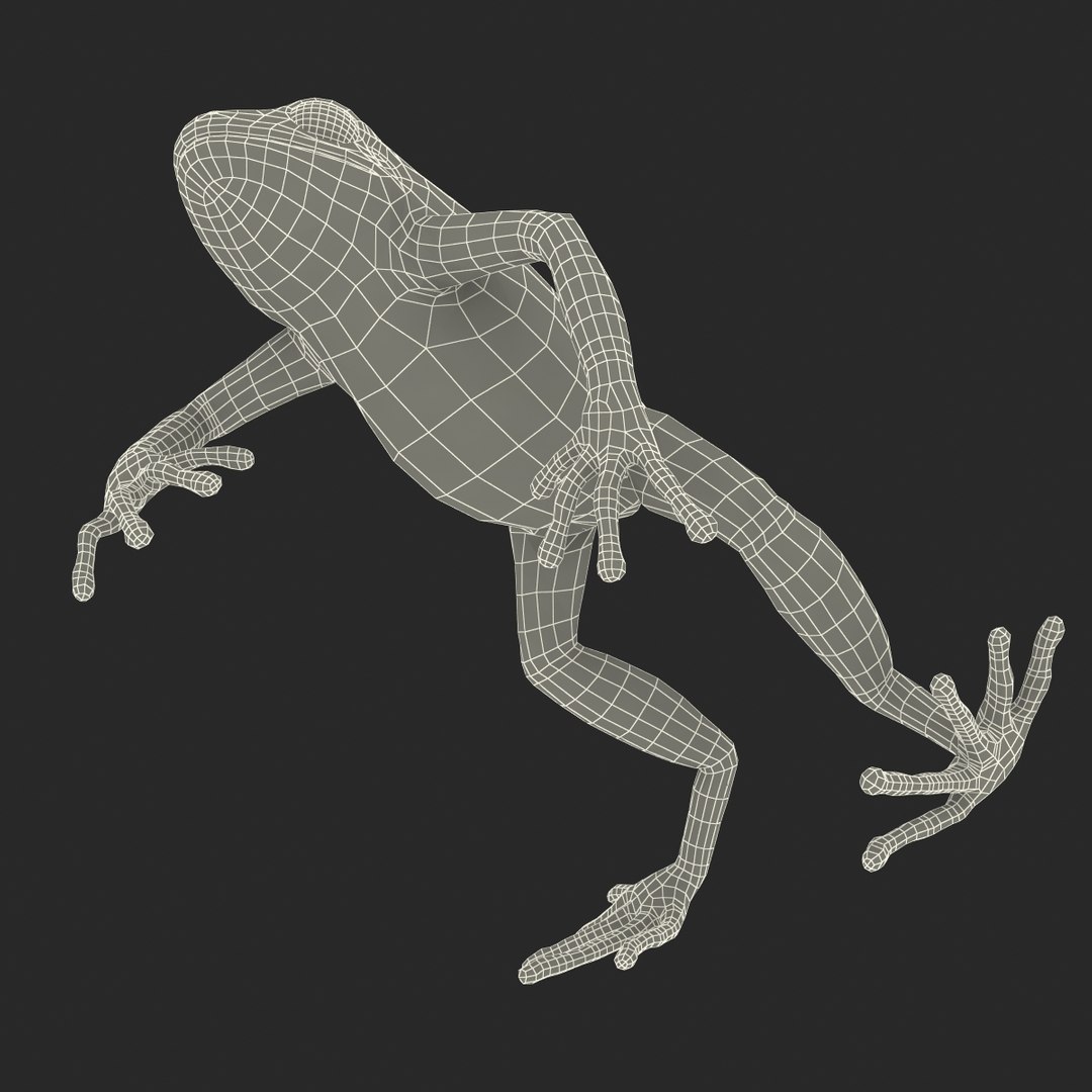 mantella frog rigged animate 3d max https://p.turbosquid.com/ts-thumb/4o/hZSRLH/wVQiiKOy/mantellafrogrigged3dmodel37/jpg/1452842179/1920x1080/fit_q87/686b5dd0e2717c7df450ca493cdde4bcf602604a/mantellafrogrigged3dmodel37.jpg