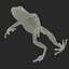 Mantella Frog Rigged 3D Model
