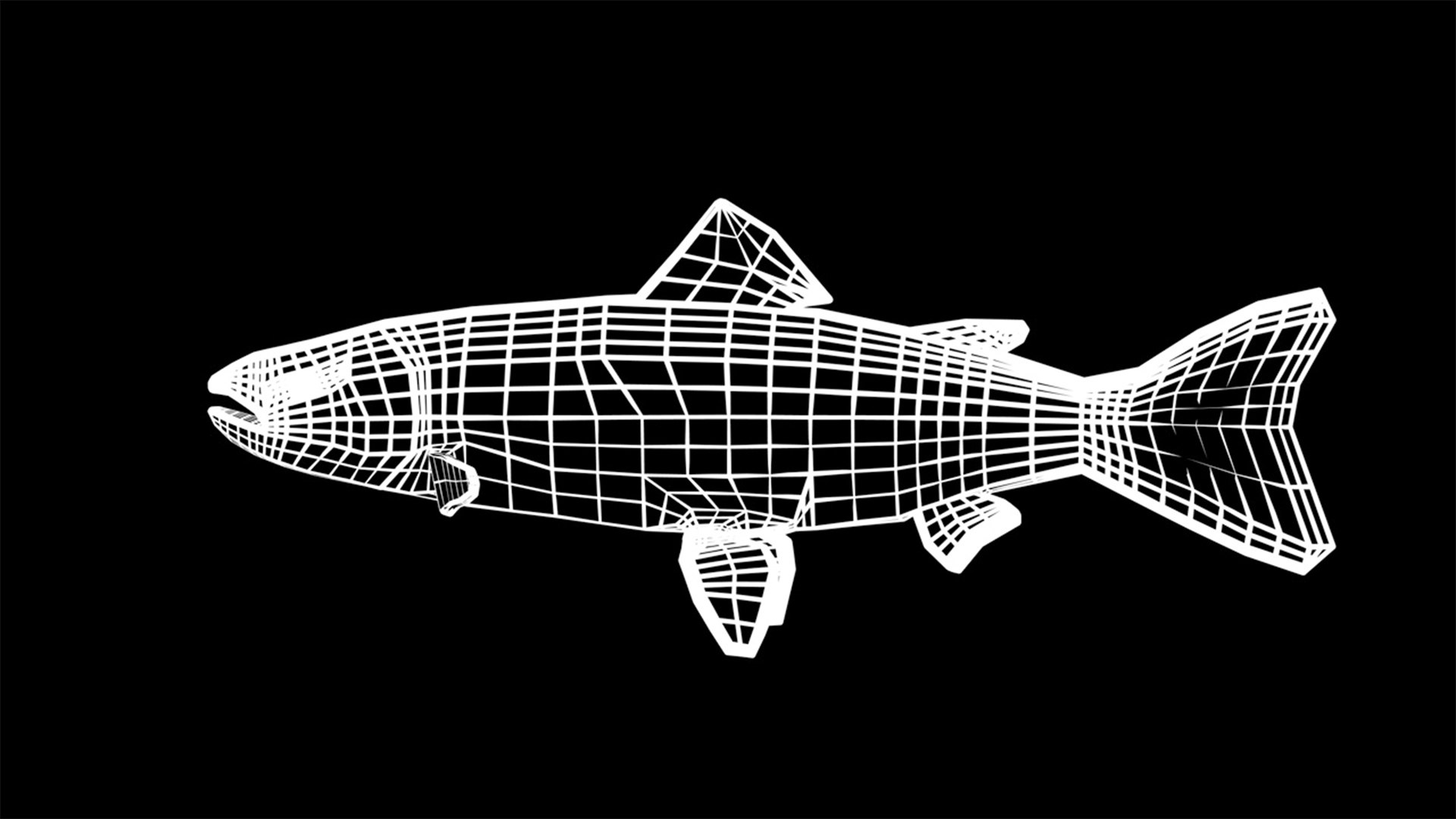 3D Salmon fish model https://p.turbosquid.com/ts-thumb/4o/qMfCRa/gC/imsalmon05/jpg/1629296373/1920x1080/fit_q87/95057b1be103bf1218f88e25f48d029ba7107300/imsalmon05.jpg