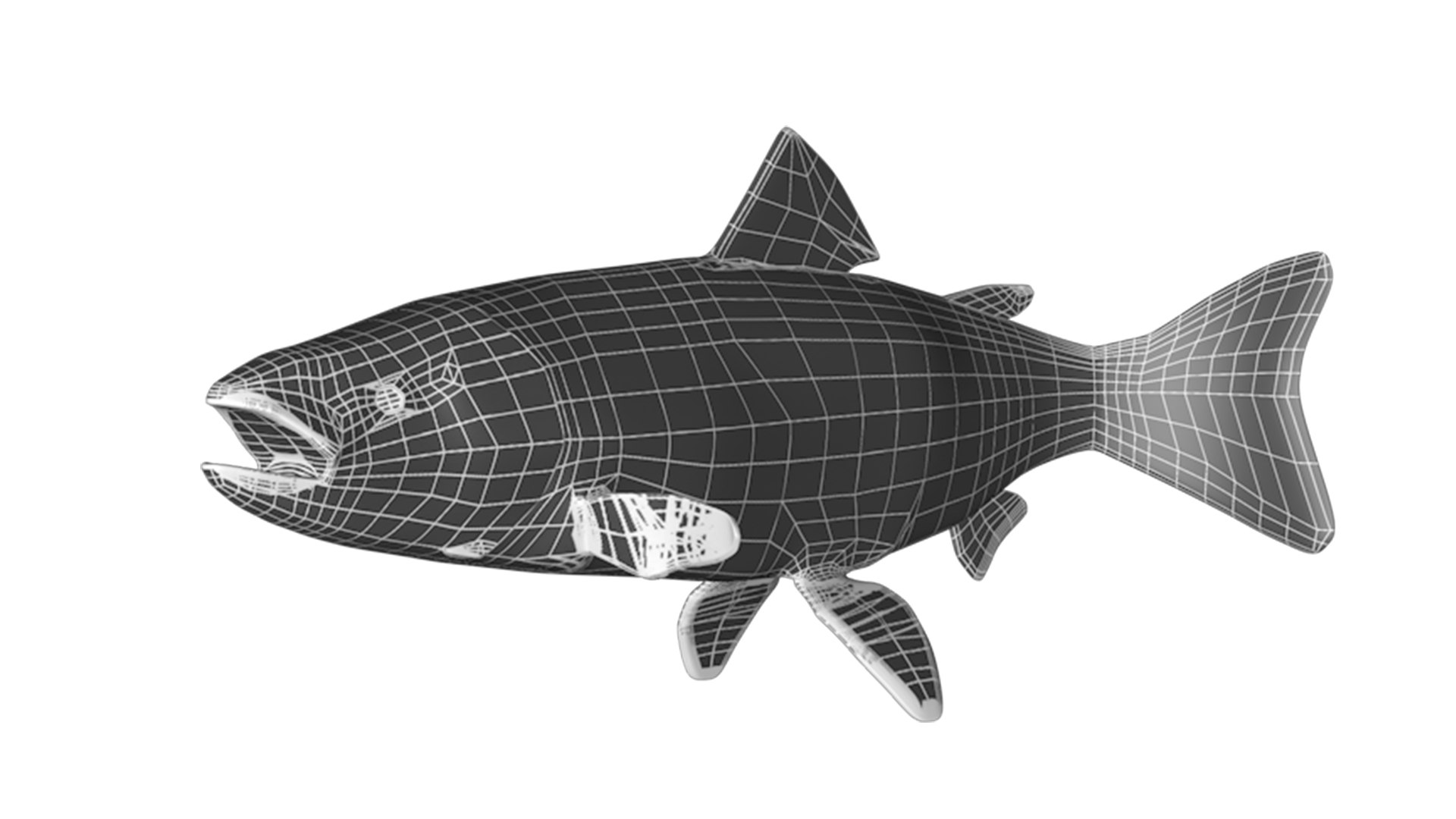 3D Salmon fish model https://p.turbosquid.com/ts-thumb/4o/qMfCRa/mF/imsalmon06/jpg/1629309927/1920x1080/fit_q87/a00756f6ff5b5a1fc0943e179234dcbb7cdfe3a0/imsalmon06.jpg