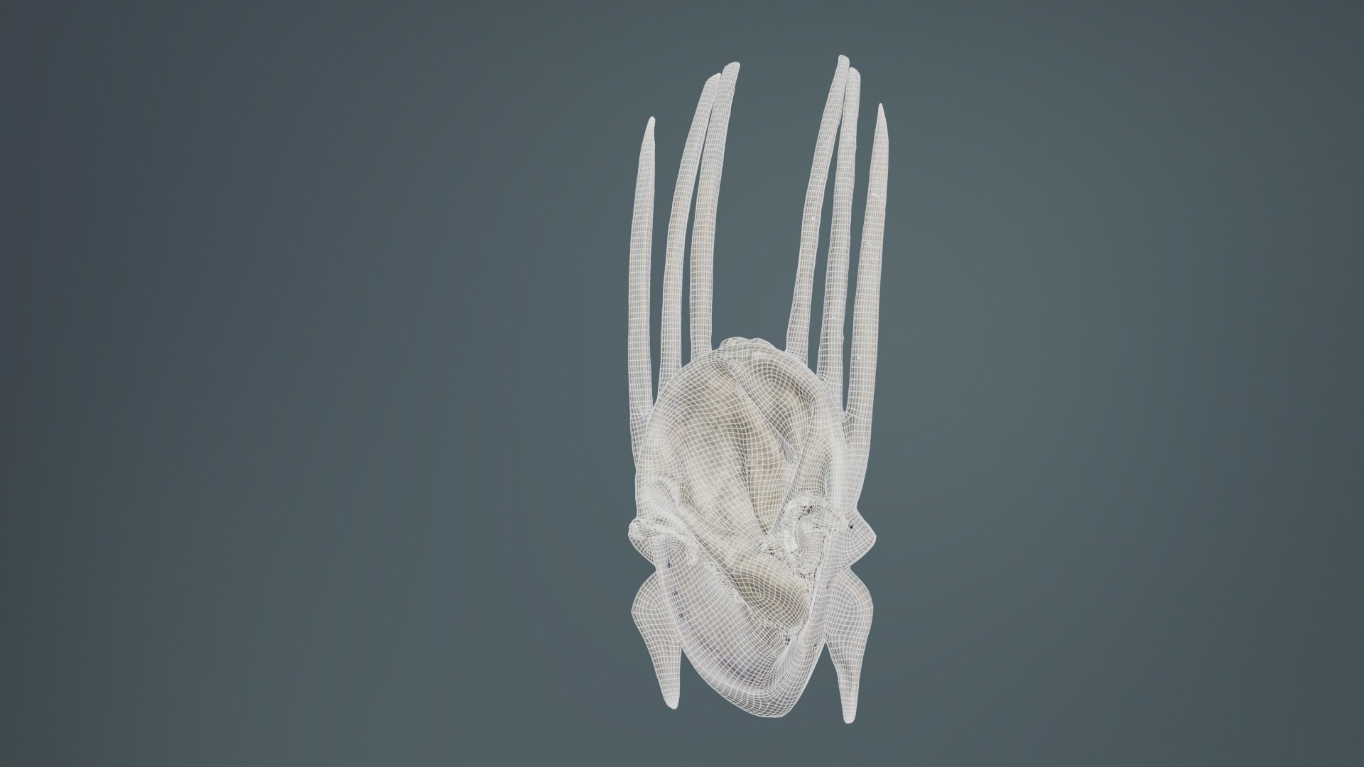 3D Afrikan Mask Carved Wood 48 Remastered https://p.turbosquid.com/ts-thumb/4o/s5ELdV/g9/afrikan_mask_carved_wood_48_10/jpg/1740433572/1920x1080/fit_q87/5d503bd6f43c2fd5bf6e2f06769059e9a00233e5/afrikan_mask_carved_wood_48_10.jpg