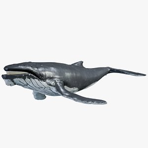 Humpback Whale PBR 3D model