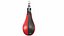 Colección de elementos de boxeo 24 en 1
