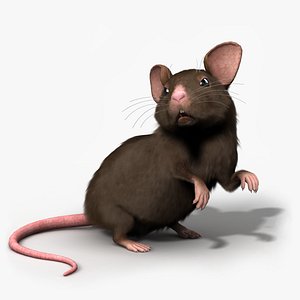 Mouse - Rigged
