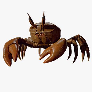3D Crab walking Animation PBR  GameReady model