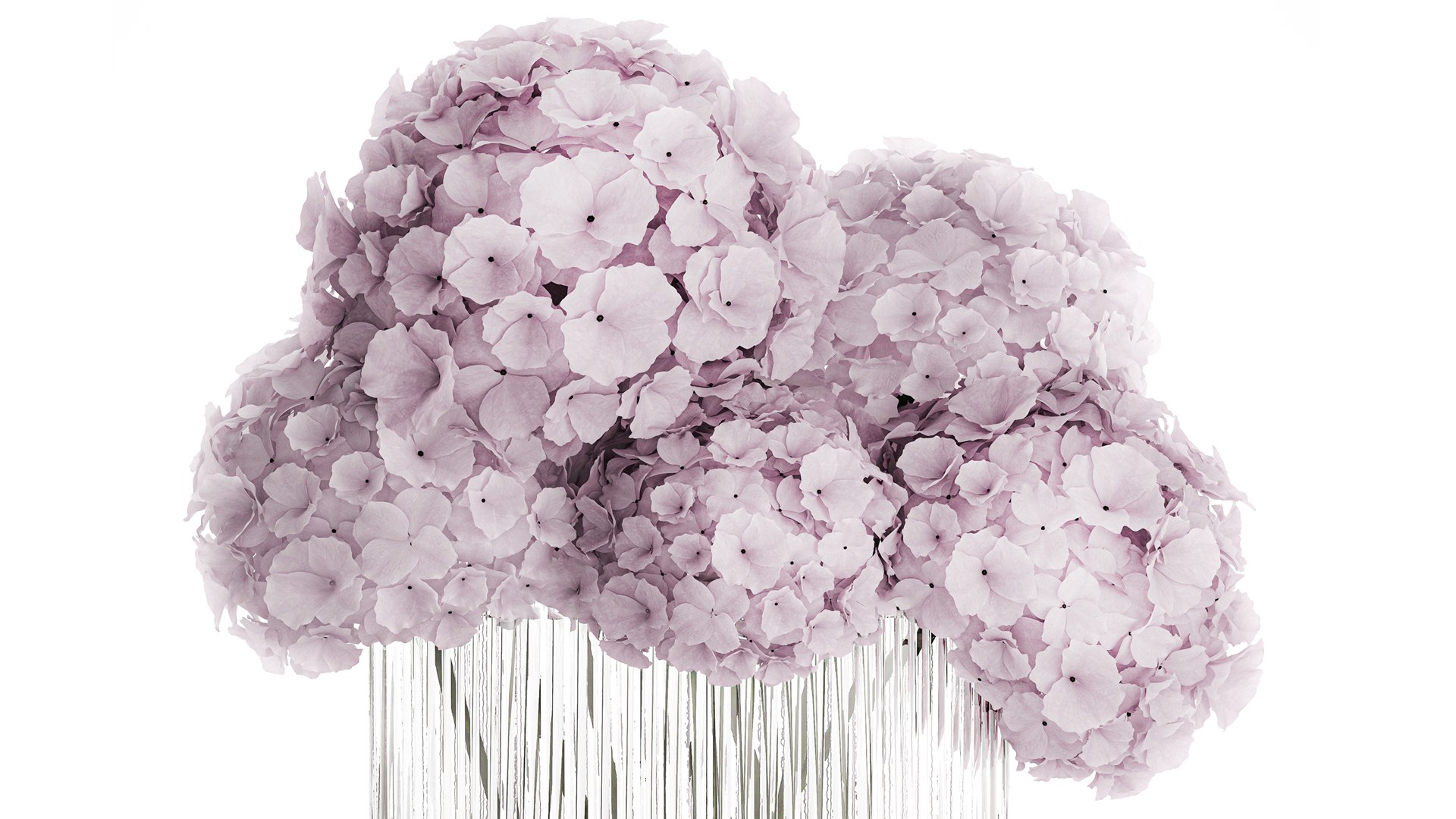 Modern Realistic Bouquet glass Vase Lilac Hydrangea 620 model https://p.turbosquid.com/ts-thumb/4p/OH2Nmr/Uf/1bouquet150904/jpg/1758195791/1920x1080/fit_q87/3ef555849e459491b0bfc69096814271e3eeade8/1bouquet150904.jpg