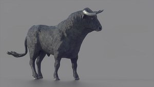 3D spanish fighting bull