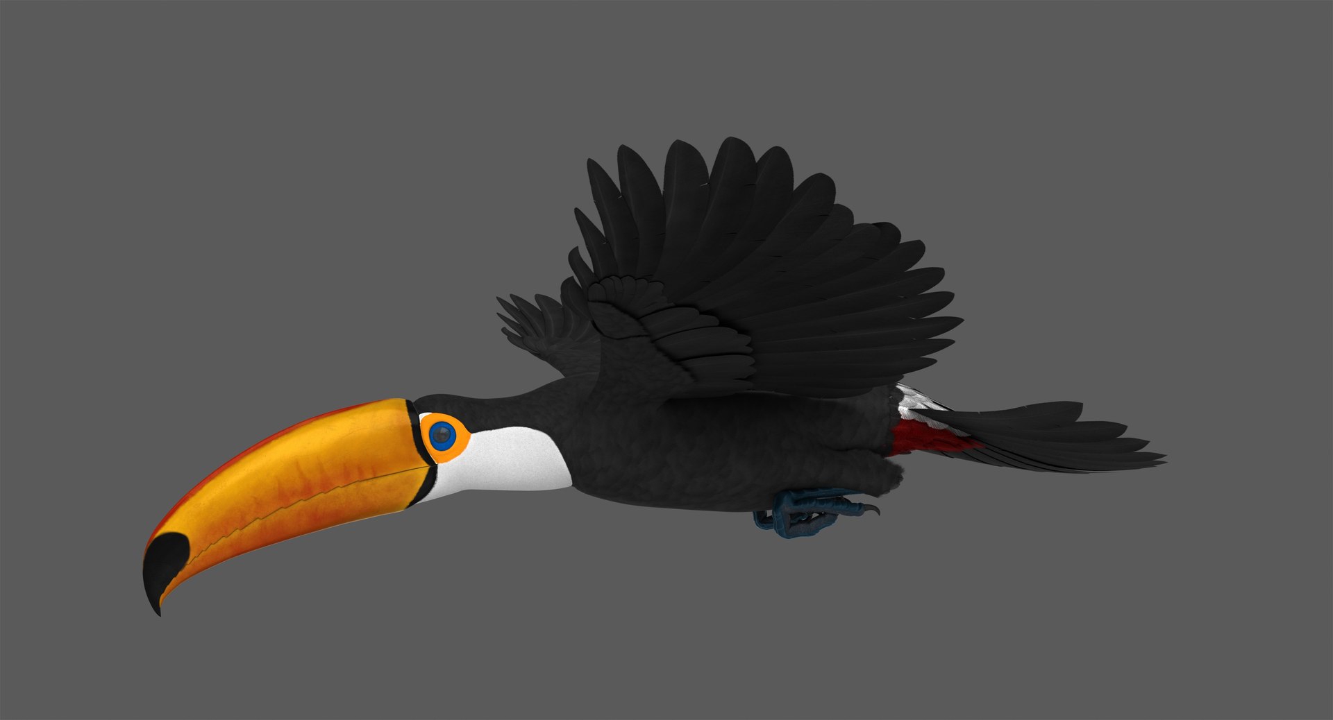 3D toco toucan animation https://p.turbosquid.com/ts-thumb/4p/f0ZFY0/GEYp4Q4f/toucan_poses_009/jpg/1531760613/1920x1080/fit_q87/532cdd3f695e92fe001b1aa92eb4bdfce4c47d38/toucan_poses_009.jpg