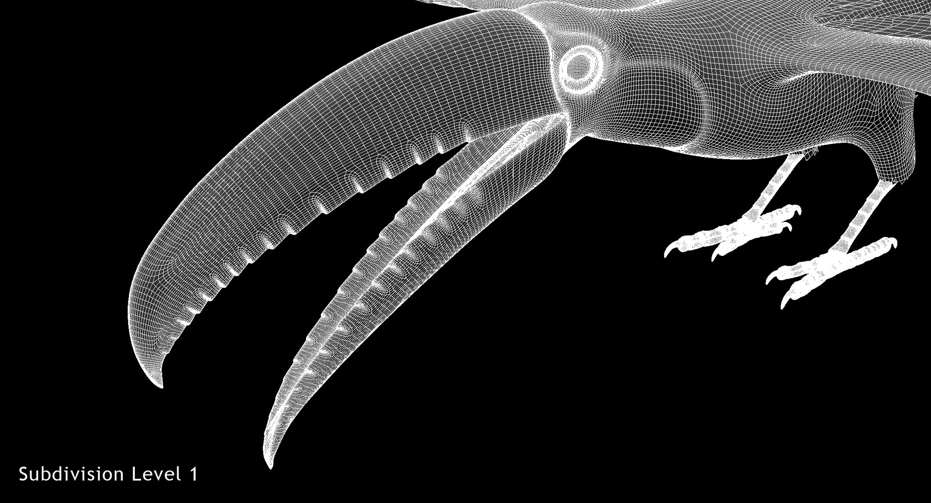 3D toco toucan animation https://p.turbosquid.com/ts-thumb/4p/f0ZFY0/LdTmN68z/w06/jpg/1531732945/1920x1080/fit_q87/c13ce0bcf9fb8d1560e17b17b916729c0d8834a5/w06.jpg