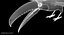 Toco Toucan (Animated)