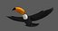 Toco Toucan (Animated)