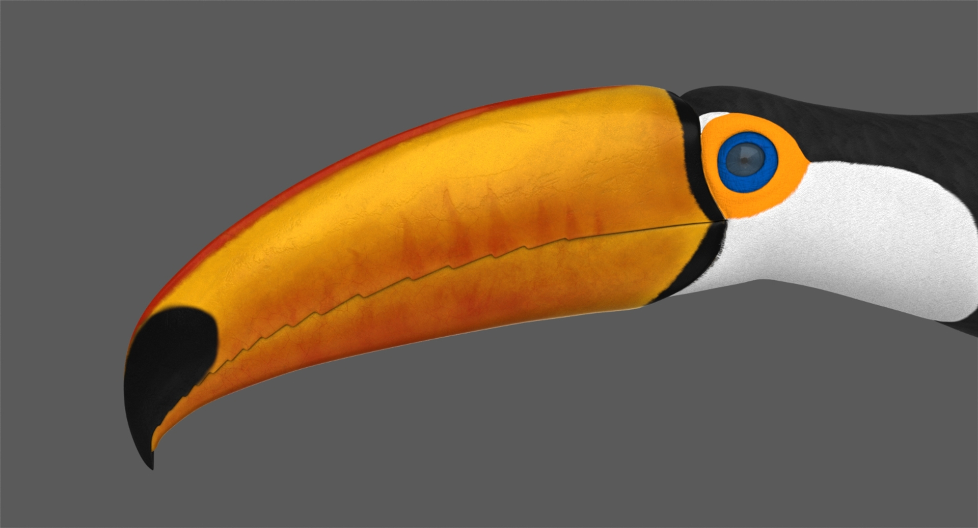 3D toco toucan animation https://p.turbosquid.com/ts-thumb/4p/f0ZFY0/nifPeYqK/toucan_head/jpg/1531814615/1920x1080/turn_fit_q99/d03d4fb65759daa2c19c739f1845a1fce6eecfe2/toucan_head-1.jpg