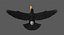 Toco Toucan (Animated)