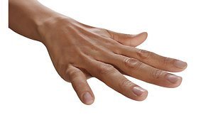 3D model Retopologized 3D Hand scan of Raenia Freeman